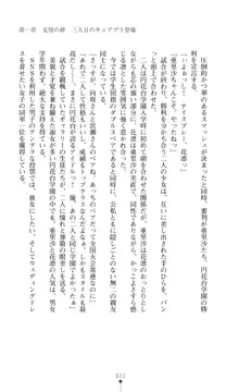 キュアリープリンセス 正義の心を悪堕ち洗脳, 日本語