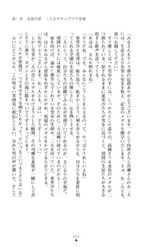 キュアリープリンセス 正義の心を悪堕ち洗脳, 日本語