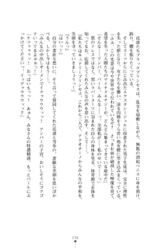 キュアリープリンセス 正義の心を悪堕ち洗脳, 日本語