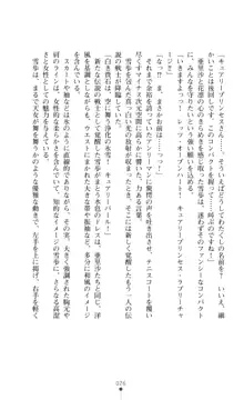 キュアリープリンセス 正義の心を悪堕ち洗脳, 日本語