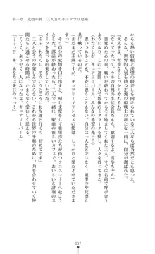 キュアリープリンセス 正義の心を悪堕ち洗脳, 日本語