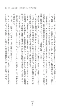 キュアリープリンセス 正義の心を悪堕ち洗脳, 日本語