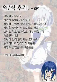 Gensoukyou Rakuenka Keikaku 15 | 환상향 낙원화계획15, 한국어