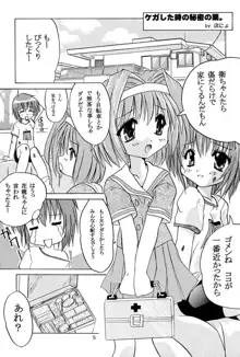 TWINKLE² SISTERS Vol.2, 日本語