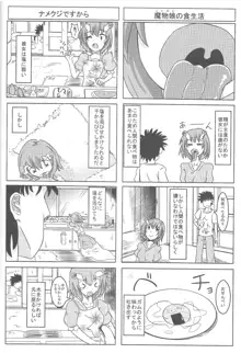 私の魔物娘を紹介します! 総集編, 日本語