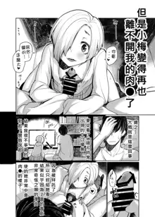 Koume ga Ore no Chin□ o Hanashite Kurenai nda ga., 中文