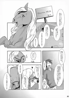 MARE HOLIC 3, 日本語