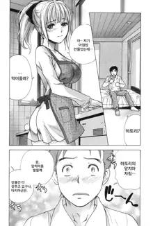 Nurse o Kanojo ni Suru Houhou - How To Go Steady With A Nurse 3, 한국어