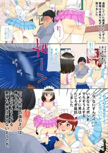 いいなりメイドとやり放題, 日本語