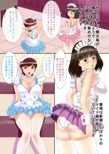 いいなりメイドとやり放題, 日本語