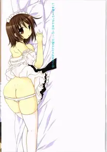 Ore no Kanojo ga Maid de Yome de, Iroiro Nandemo Shichaimasu, 中文