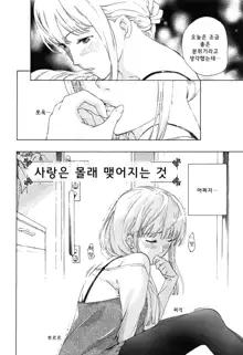 Koi wa Hisoka ni Minoraseru mono Ch. 1-5, 한국어