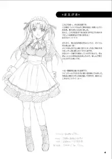 メイドさんのご奉仕日記, 日本語