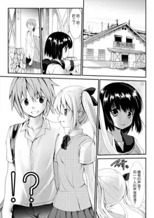 Inaka Shoujo 4, 中文