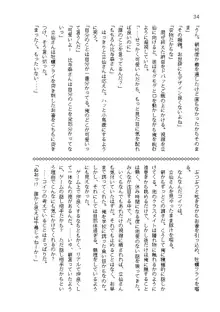 俺達は爆発します? 総集編, 日本語