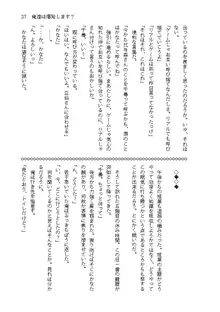 俺達は爆発します? 総集編, 日本語