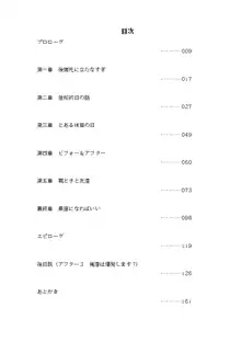 俺達は爆発します? 総集編, 日本語