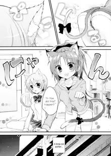 (CT21) [Honey Butter3g (Mizukaga Syou) Nyaa Nyaa Holic (Puella Magi Madoka Magica) [English], English