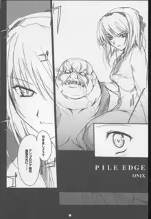 PILE EDGE, 日本語