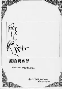 瑠璃堂画報 参, 日本語