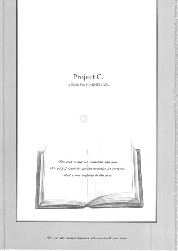 PROJECT C