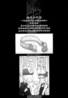 姫・淫女実験輪獄編・悦, 日本語