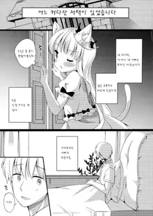 Kyou no Nyanko LoliCo 04, 한국어