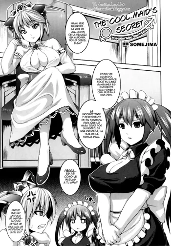 Muttsuri Maid no Himitsu