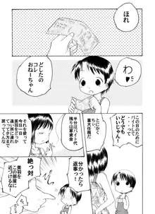 苺少女 のぶえ&まつり, 日本語