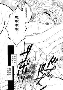 Junjou Karen - Pure Hearted and Vicious Love, 中文