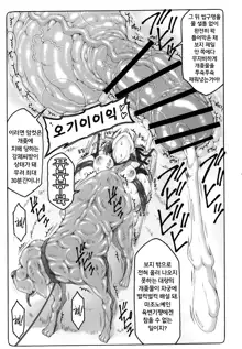 Kotori 12, 한국어