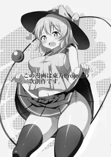 Koishi-chan no Ecchi na Hon., 中文