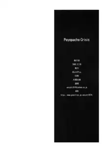 Poyopacho Crisis, 中文