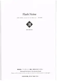 FLASH NOISE, 日本語