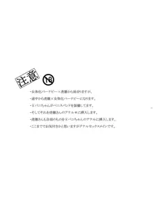 バーナビー・ブルックスJr.の研究, 日本語