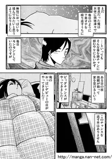 愛しのお眠り様, 日本語