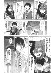 魔物娘図鑑・被害報告 ～チェシャ猫のおいでませ不思議の国～, 日本語