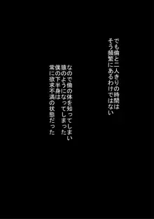 気の強い妹を体に分からせて従順にしてやった日, 日本語