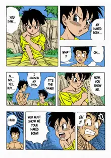 Dragon Ball H, English