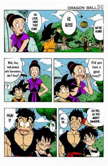 Dragon Ball H, English