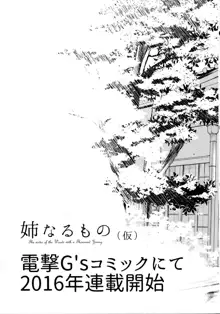 姉なるもの 2, 日本語