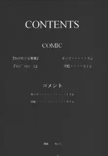 My姫 -vol.2-, 日本語