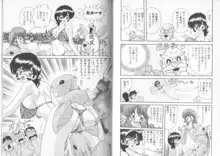 転身巫女 椎菜, 日本語