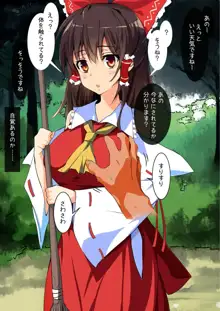 東方催眠淫魔境～霊萃妖～, 日本語