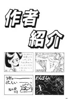 Separhita Vol.4, 日本語