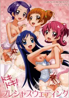 Dokidoki! Precious Wedding, English