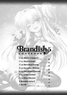 Brandish 5, 中文