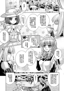 Brandish 5, 中文