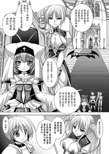 Brandish 5, 中文