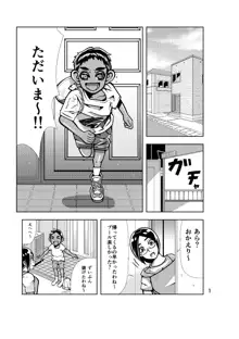 牛乳おばさん完全版, 日本語